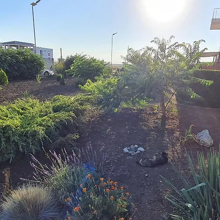 Casa Bellevue Δωμάτια σε οικογενειακή κατοικία Costinești